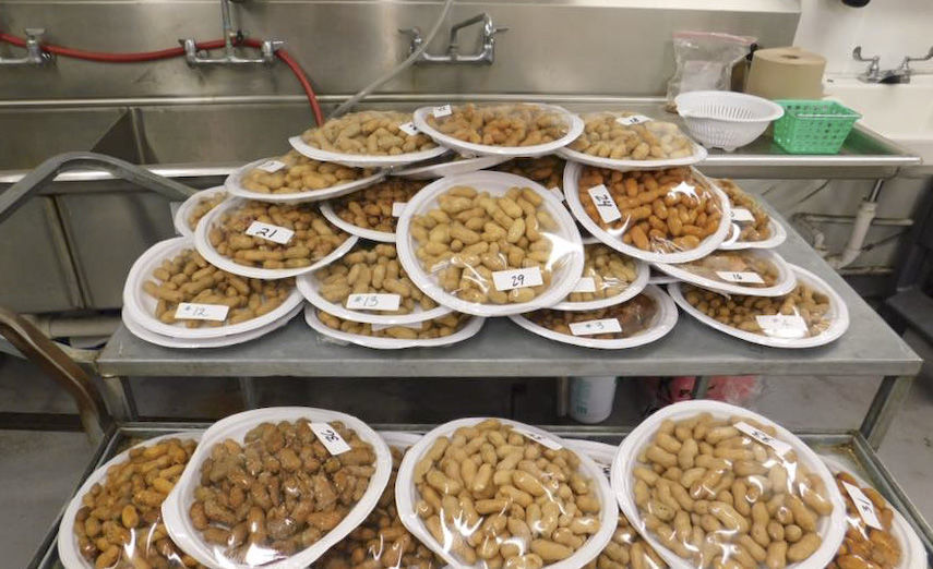 Boiled Peanut Contest